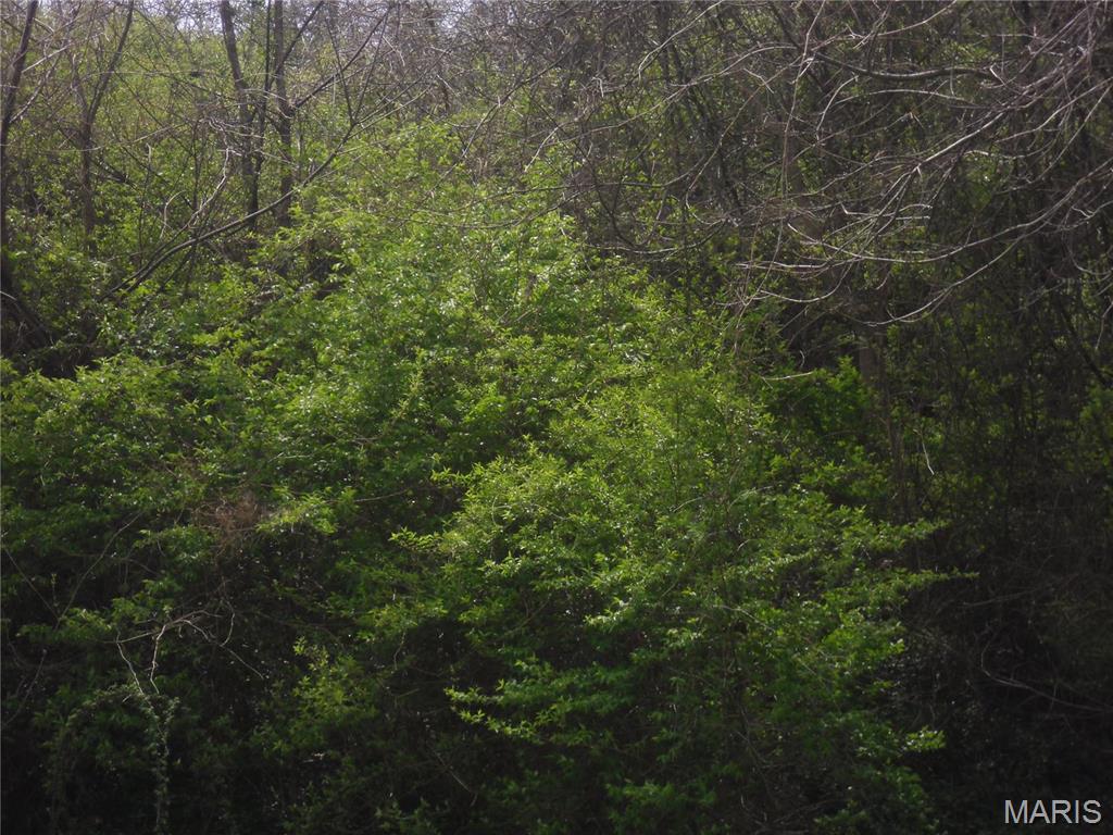 Parkview - Land