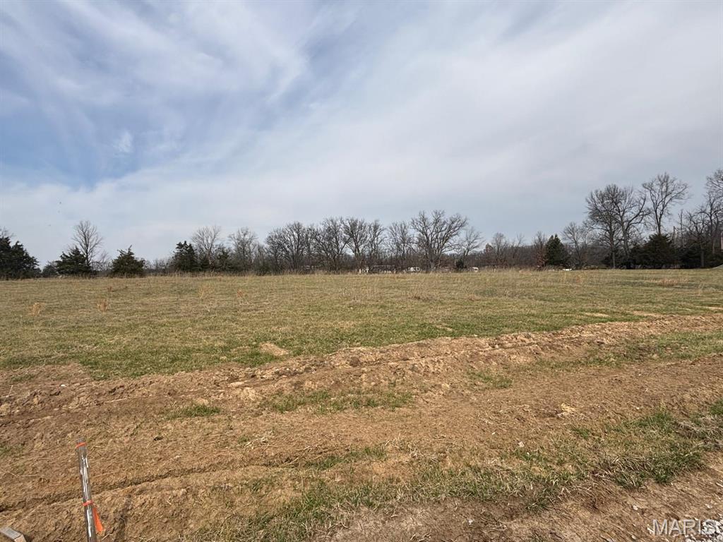 Berry Place Development - Land