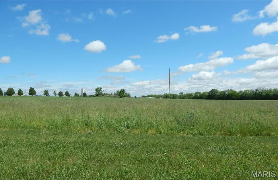 Looking for a building site for your new home? This building site consists of 1.85 acres in New Design Plaza, a country subdivision with easy access to State Route and located within minutes of Waterloo. Your plans-your builder. Plans to be approved by developer/seller. Minimum sq. ft. 1400. Association fee is $45.00 a month covering pumping of individual sewer system & maintenance of community mound system. Public water available at property line, buyer responsible for paying tap fees. Sewer hook-up is available at property line, buyer responsible for installing individual aeration system that connects to mound system.