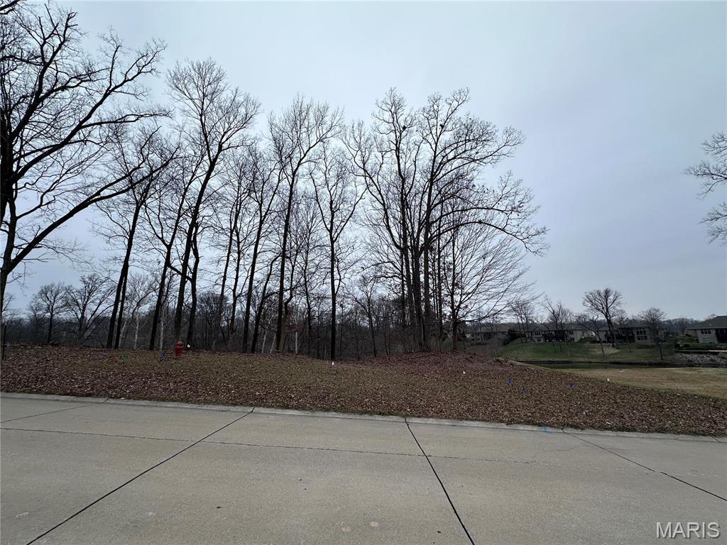Stonebridge Woods - Land