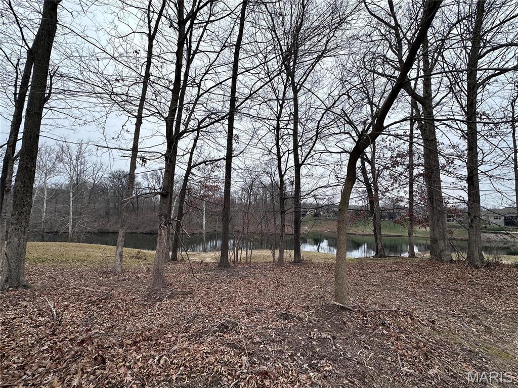 Stonebridge Woods - Land