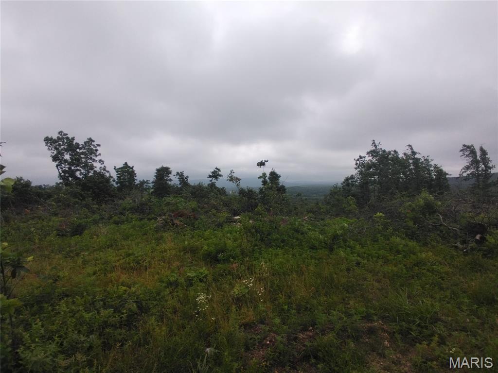 unknwon - Land