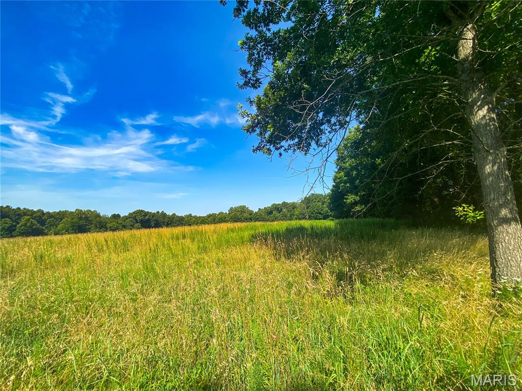 Springview Farms - Farm