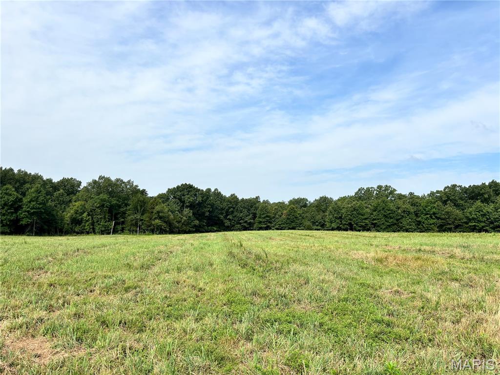 Springview Farms - Farm