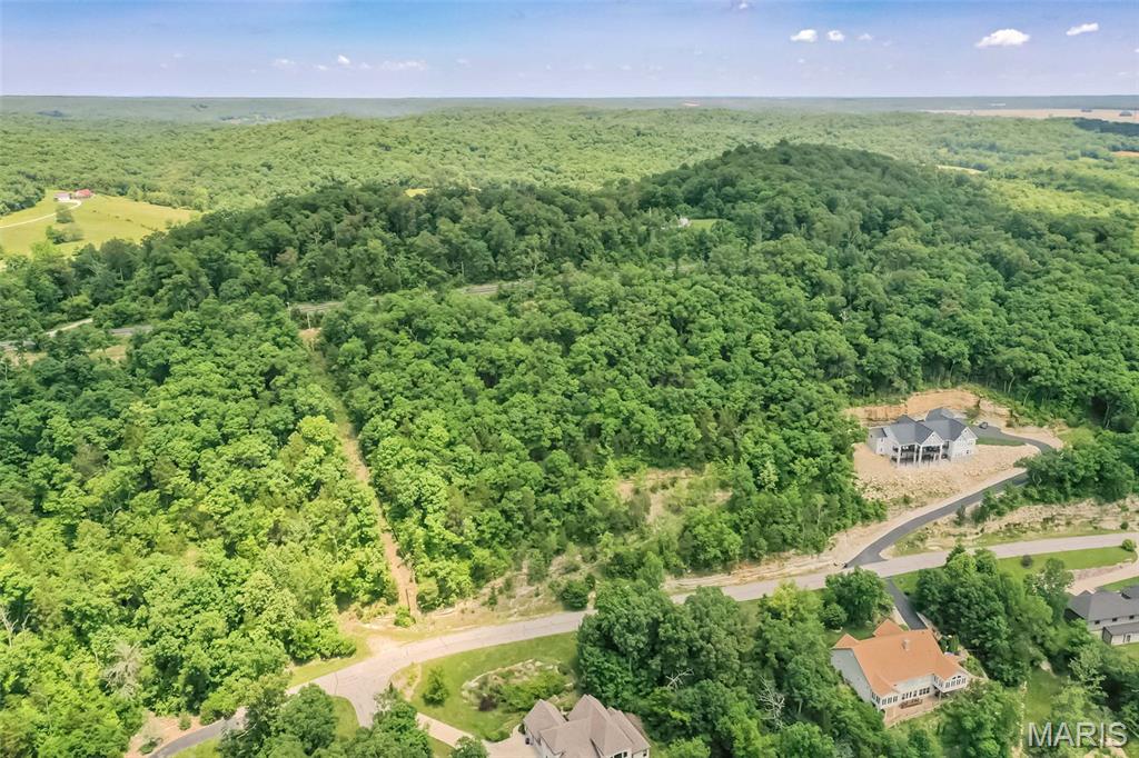 If you are looking for peace & tranquility and want to build your dream home, this 2.52 wooded lot in Augusta Shores is the perfect fit. Nestled on a private lot overlooking a beautiful lake, this community has it all; a gated entrance, pool, tennis courts, pavilion, club house, 4 stocked lakes, public utilities, common ground and all within minutes of the Katy Trail, parks, the wine country and 15 minutes from HWY 40/64.