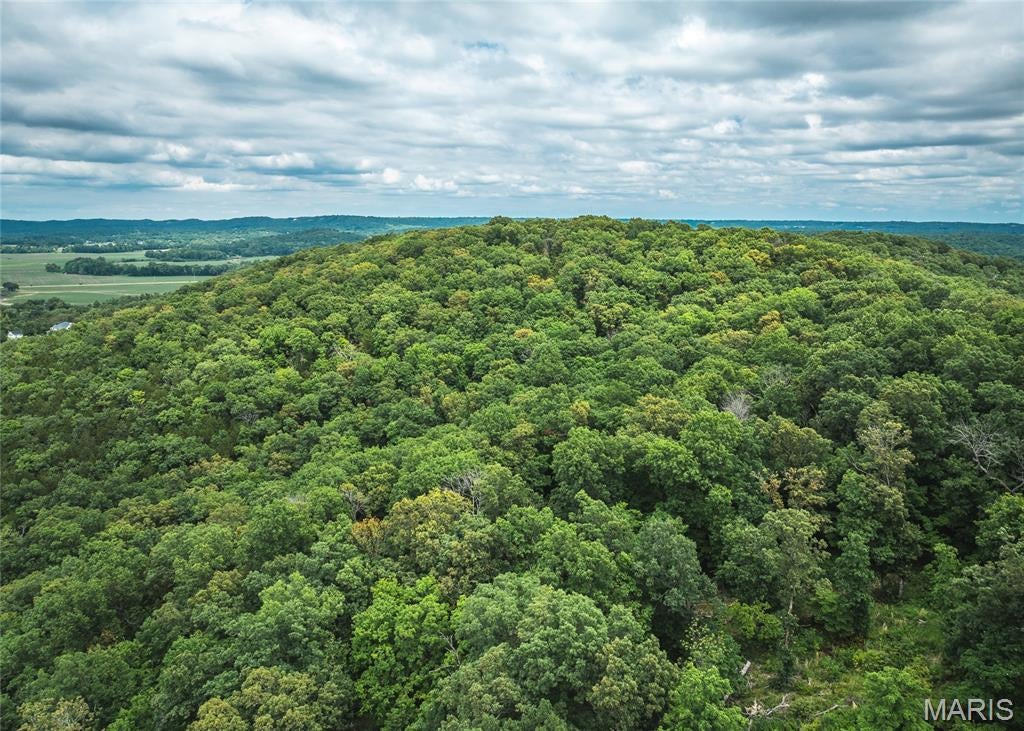 This 10-acre tract in House Springs, MO offers the perfect mix of seclusion and convenience. Nestled at the end of a private trail, the property boasts breathtaking views of the bottomland below and is just minutes from Highway 30—making for a quick and easy commute to St. Louis. A true outdoorsman’s paradise, the land is loaded with whitetail deer and wild turkeys, and is surrounded by larger tracts and landowners, keeping traffic minimal and wildlife plentiful. Whether you're looking to build your dream home, create a private hunting retreat, or simply enjoy a peaceful weekend getaway, this property checks all the boxes. Proof of funds or bank letter to be provided to agent to come take a look today! Multiple 10 acre tracts available!