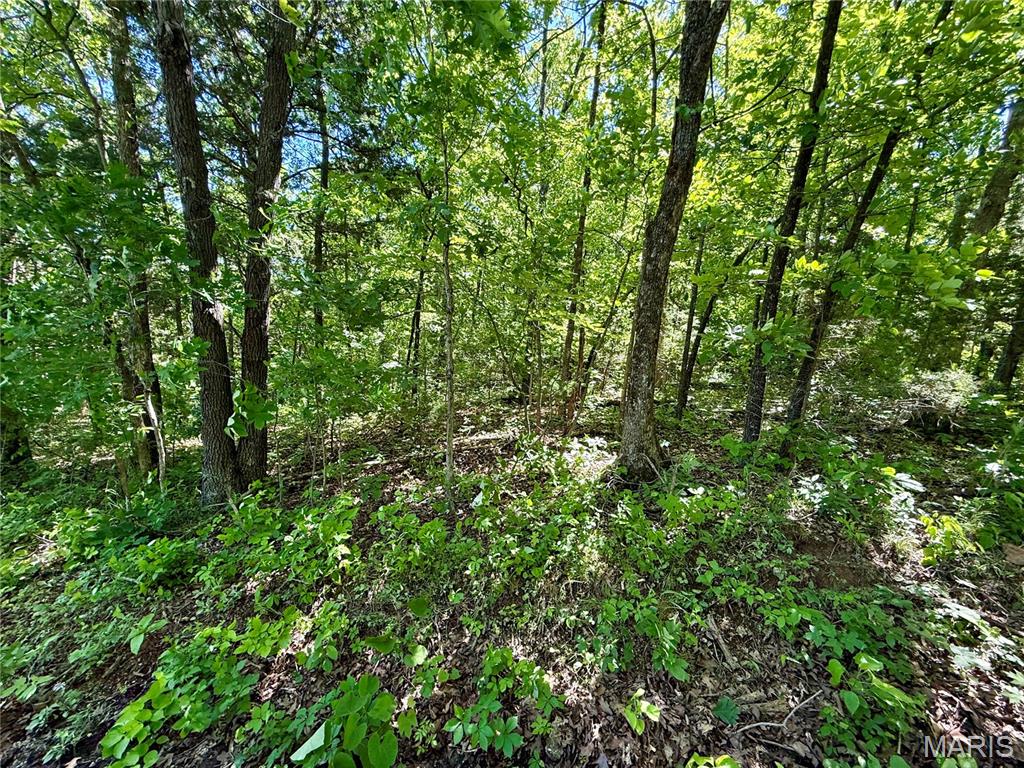 Imagine your dream home nestled on 3.1 acres of beautiful wooded land. Located off a paved road, this peaceful property offers the ideal mix of seclusion and accessibility. A rare opportunity to own a private slice of nature-just bring your vision!! Some restrictions. This will be surveyed off of a larger parcel so exact lines will be determined by the survey.