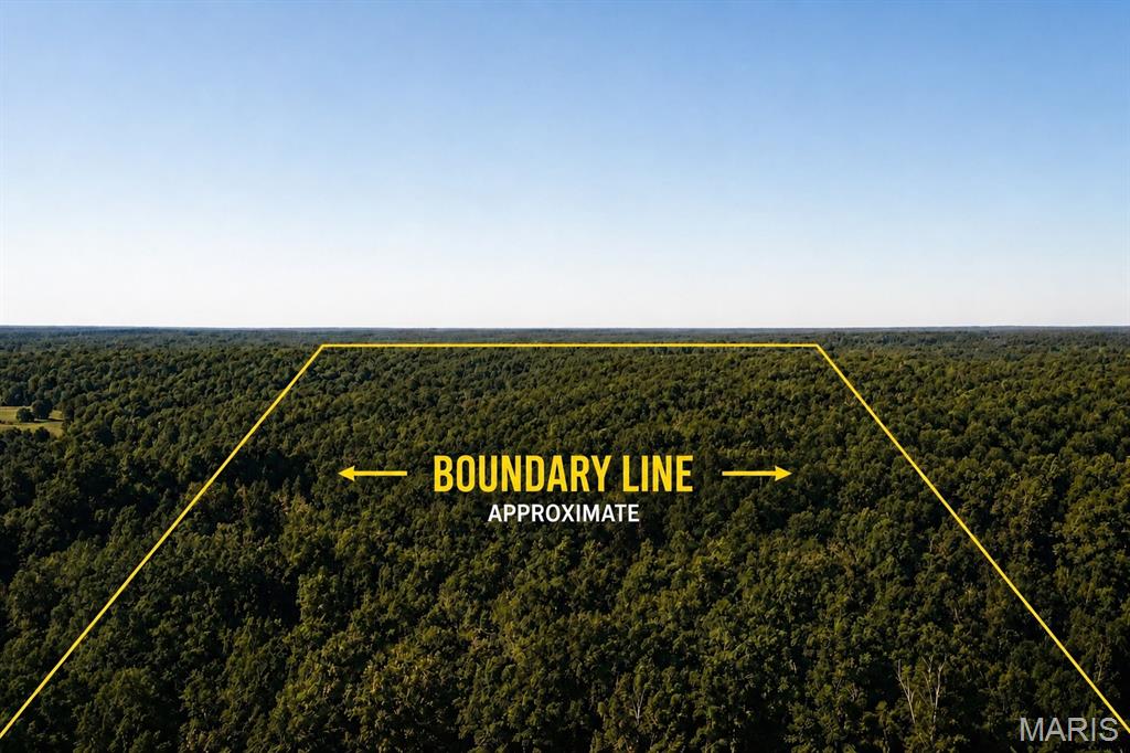 Discover the possibilities on this 21.8-acre property in Boss, Missouri! Featuring mature timber and a mix of wooded and open ground, this property offers an excellent opportunity for hunters, outdoor enthusiasts, or anyone looking for a private rural getaway. The property borders government land on two sides, creating additional privacy and access to an expansive surrounding area—an especially attractive feature for hunting and outdoor recreation. The mature timber and secluded setting provide excellent habitat for deer and other wildlife, making this a property worth taking a closer look at for the avid outdoorsman.

A previous home on the property was destroyed by fire, with the existing foundation remaining and offering potential for future redevelopment. Well and electric are already on site, and a lagoon is also present. Whether you're looking to build a new home, establish a hunting retreat, create a weekend getaway, or simply own a private piece of Missouri countryside, this 21.8-acre property offers plenty of potential.