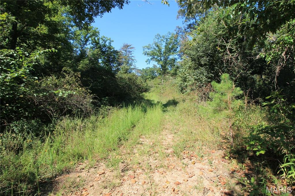 Coldwater Creek Estates - Land