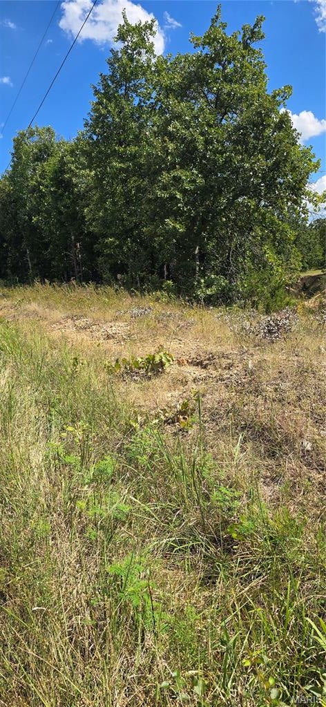 Discover 11050 County Road 2220, Rolla, MO 65401—your opportunity to build a custom homestead just outside of town. This exceptional 9.87-acre parcel offers the perfect canvas to bring your vision to life. Whether you are looking to build a private country cabin, design a custom estate, or develop multi-family townhomes, this versatile acreage provides endless possibilities. The property features mature timber and a tranquil pond, offering a beautiful, natural backdrop and an immediate water source for a hobby farm or recreational use. Enjoy the peace and privacy of rural living without sacrificing the convenience of nearby Rolla amenities. Property Highlights: Prime Location: Situated at 11050 County Road 2220, Rolla, MO 65401Acreage: 9.87 spacious acres filled with mature trees and pond.