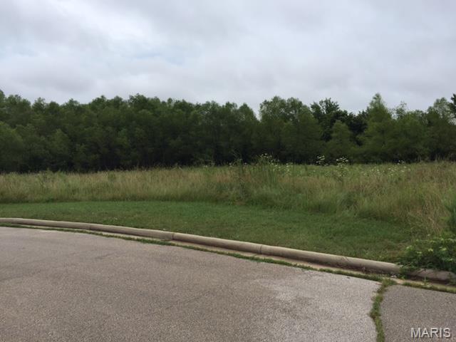 Fairgrounds Business Center - Land