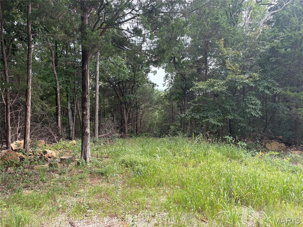 Timber Ridge Estates - Land