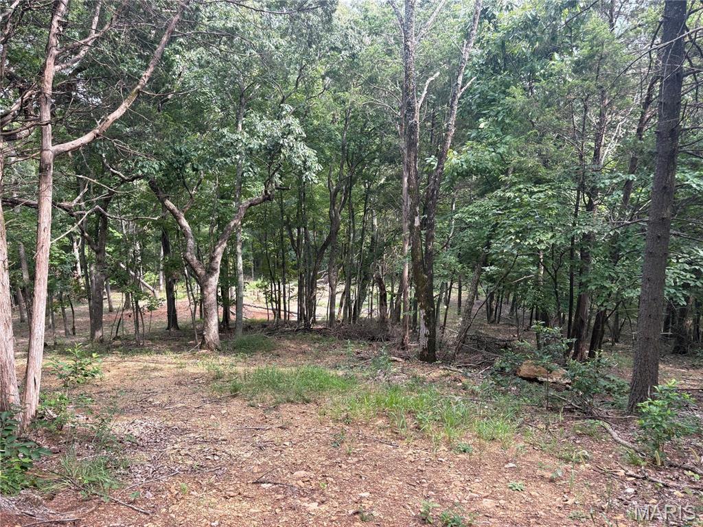 Timber Ridge Estates - Land