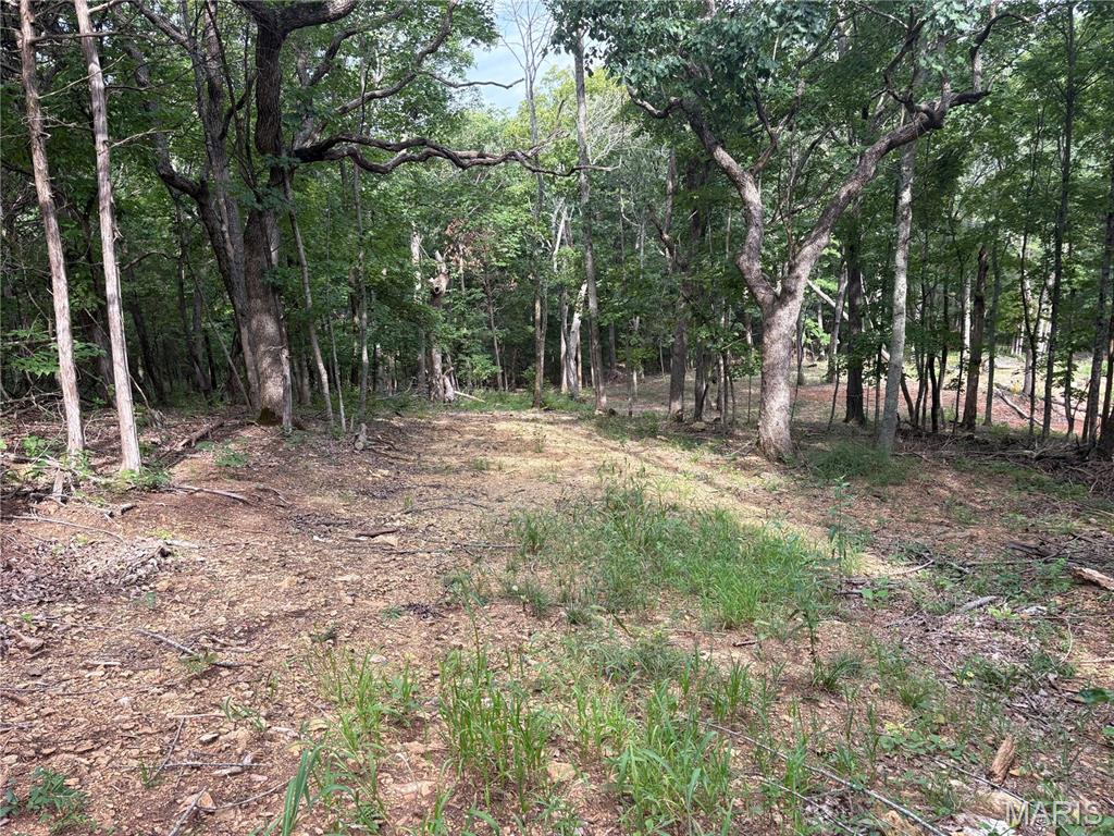 Priced to sell! Two adjacent lots totaling approximately 8.6 acres in Pacific, Missouri, offering a rare opportunity to secure beautiful acreage with the perfect setting to build your dream home.

The property features a gentle slope and a beautiful creek view bordering the back of the property, creating a peaceful and scenic backdrop. Two roads have already been cut in, providing convenient access and locations ready for future driveways. Approximately 150' x 100' of the property has been cleared and fairly leveled, with additional wooded areas already cleared to help prepare the land for development.

Located in the sought-after Meramec Valley R-III School District, this property offers a great combination of privacy, acreage, natural beauty, and convenience. With groundwork already completed, this is a fantastic opportunity to bring your plans and build your dream home. Don't miss this incredible opportunity!