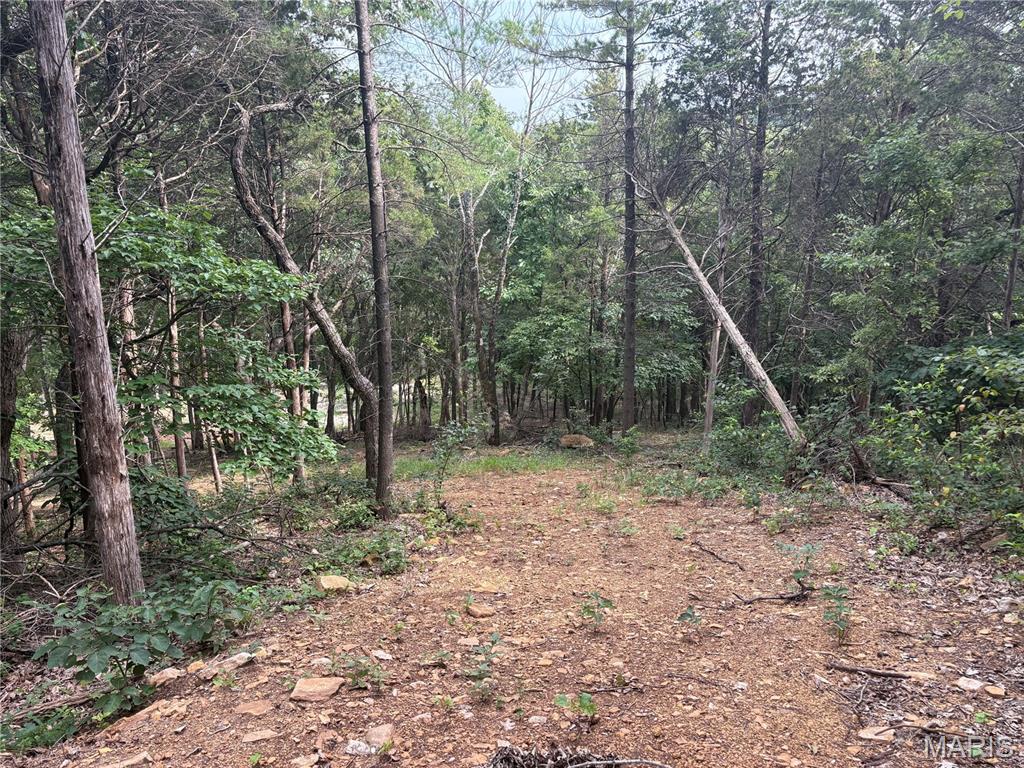 Timber Ridge Estates - Land