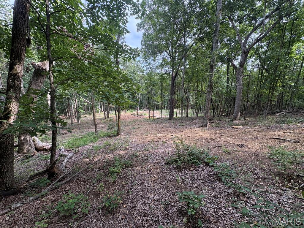 Timber Ridge Estates - Land
