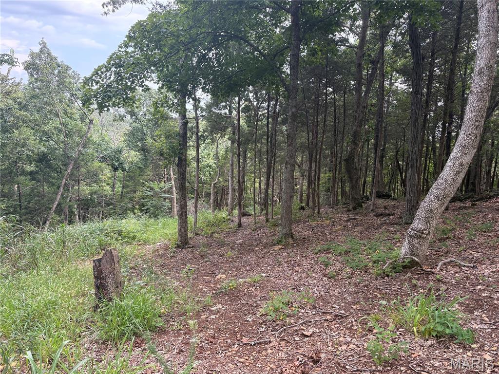 Timber Ridge Estates - Land