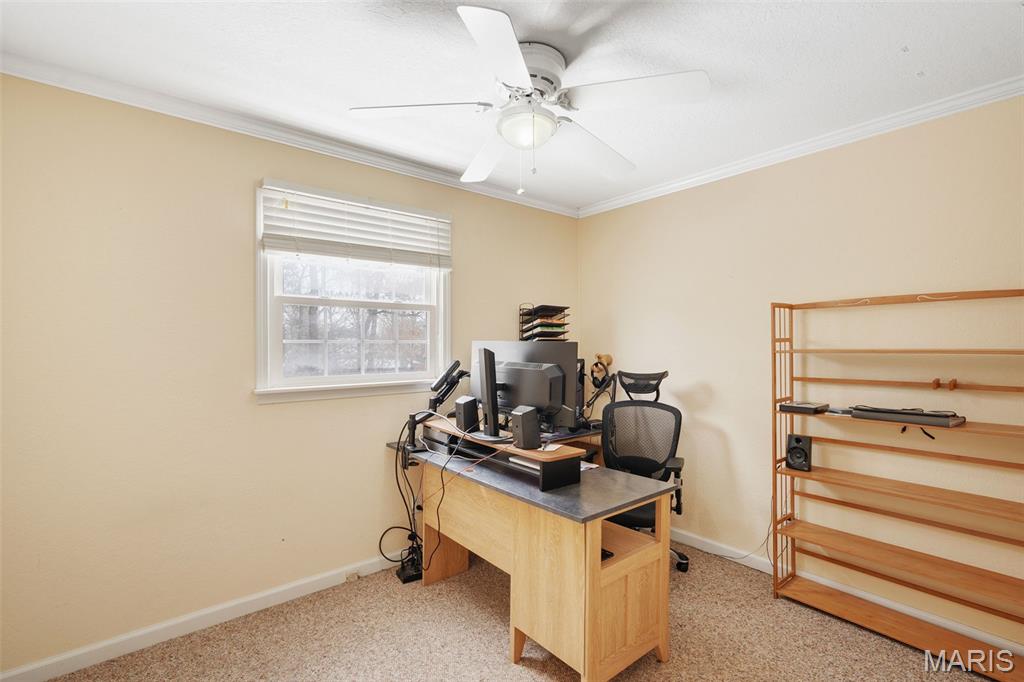 Martins Field - Residential