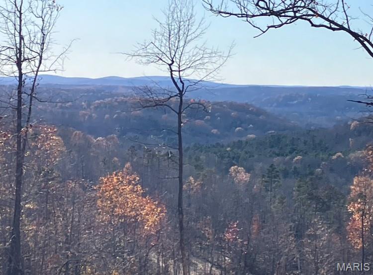 One of the best views in the Ozarks!! This 20 acres includes a deeded access road to the property and sits within about a mile of Mark Twain National Forest. 
This ridgetop oasis comes with NO restrictions, and can be had for less than the price of a new truck or SUV. 
Hunt, camp, build, ride ATVs on your own land, or fish or play in the shared creek section ... endless opportunities.
This property is wooded and rolling. You are within a mile of the 22,176-acre Mark Twain National Forest ... public ground where you can also hunt, ride and explore. All this, and only about 2 miles by road from U.S. 67.
Use this wooded, secluded property as a base camp for adventure or build your forever home and live out your days in secluded bliss. This and surrounding land is teeming with deer, turkey and small game, and the occasional feral hog or maybe a black bear.
There is additional acres available which adjoin this piece if interested.