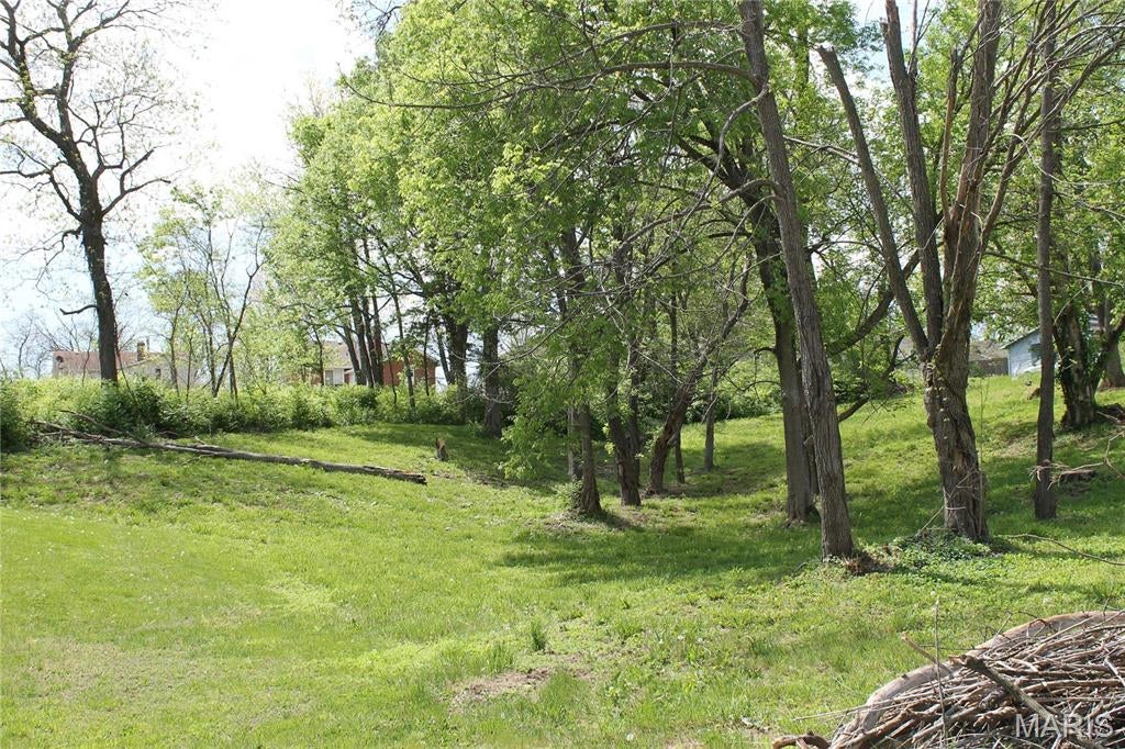 Sunday in the Park.

Don't even have to leave your house after you build it when you own this beautiful city lot. Have your picnics in your own backyard or take a leisurely stroll to the nearby restaurants. Lot 12 is also available! Additional Rooms: In Platted Subdv.