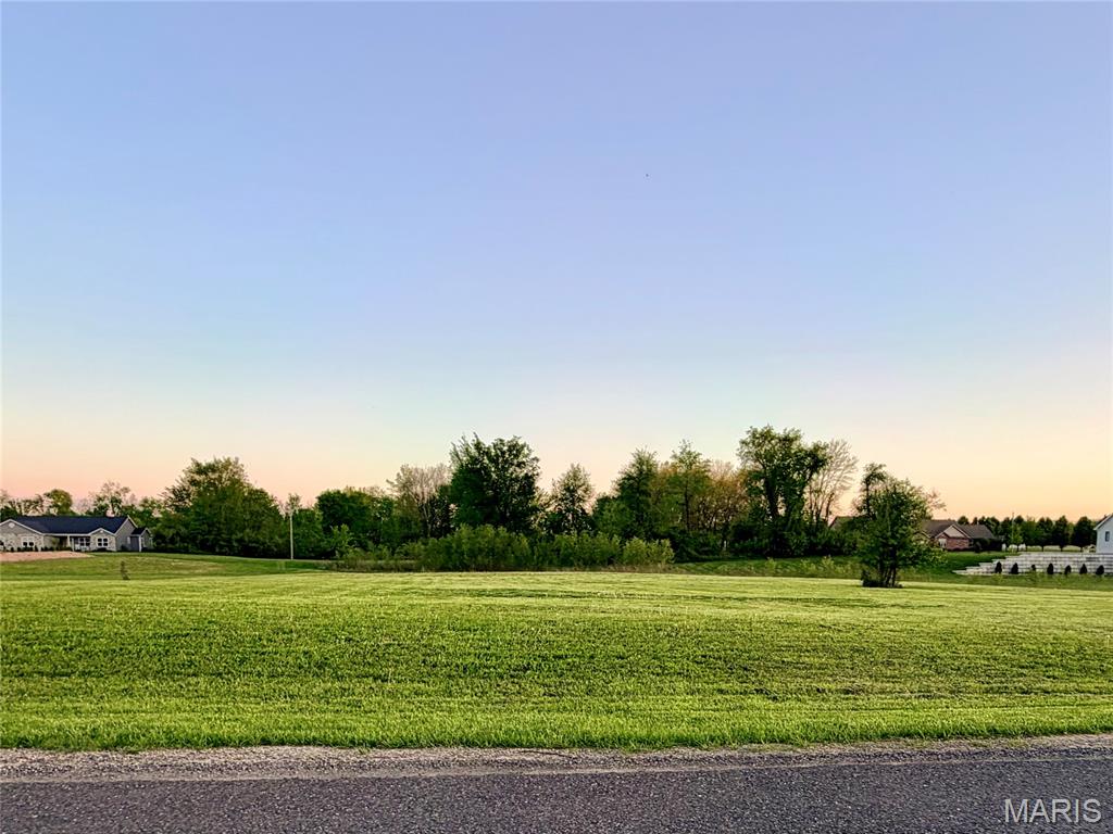 Don't let the chance slip away to own the last available lot in Lake James Acres! This 2.15 acre parcel, located within the Edwardsville school district, is flat and primed for your dream home. Nestled near the Holiday Shores community, you'll find this peaceful and serene neighborhood to be the perfect place to call home.