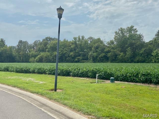 Looking to build in perfect location ? Timber Creek Subdivision has 9  lots  available to choose from. As you enter the Bricked entrance , you will notice how well this subdivision  is maintained. It's quiet and close to Dexter schools ! City water and sewer, with Ameren electric lines underground and natural gas.  Plat map available.