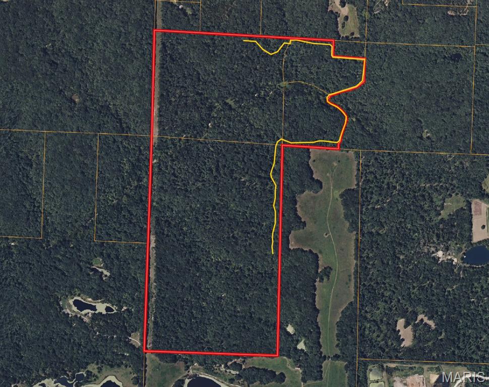 Incredible opportunity to own 177+/- acres in the hottest area in Montgomery County.  This versatile piece would be great for recreation, development, and future investment upside. The property is located conveniently close to the interchange at Hwy 19 and Interstate 70, and accessed off of the South outer road. It offers great deer and turkey hunting, with a nice mix of timbered draws, beautiful ridges and a live creek.  A recently manicured road system provides easy access throughout the property. There are multiple, scenic build sites across the property and there is access to electric. Whether you are looking to build your dream home on a large tract that you can hunt, or have a weekend getaway/hunting camp, this piece is ready for your vision.  Less than 1 hour from Chesterfield Valley and right in the mix of the surge of investment into the New Florence area.  More acreage could be available in addition to the 177+/- (Up to a total of 290+ Acres).  Owner willing to subdivide.  Call for a private tour today.