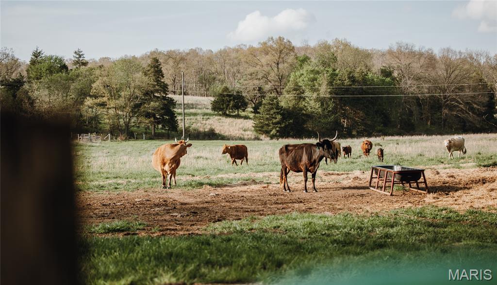 none - Farm