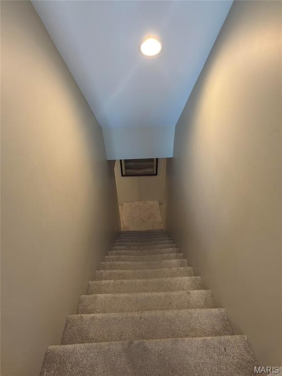 Surrey Hills - Residential