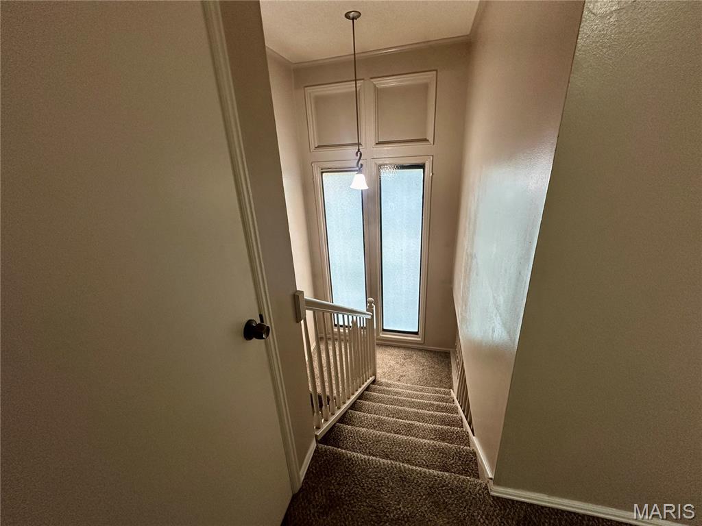 Kiefer Creek Condo - Residential