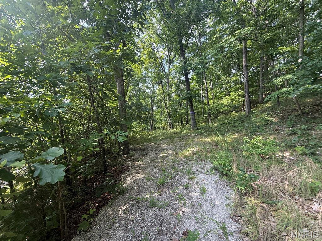 Riebold Farm - Land