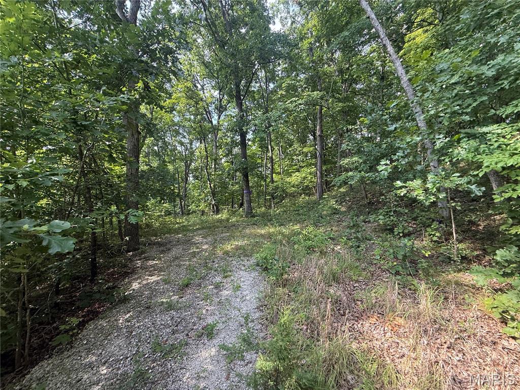 Riebold Farm - Land