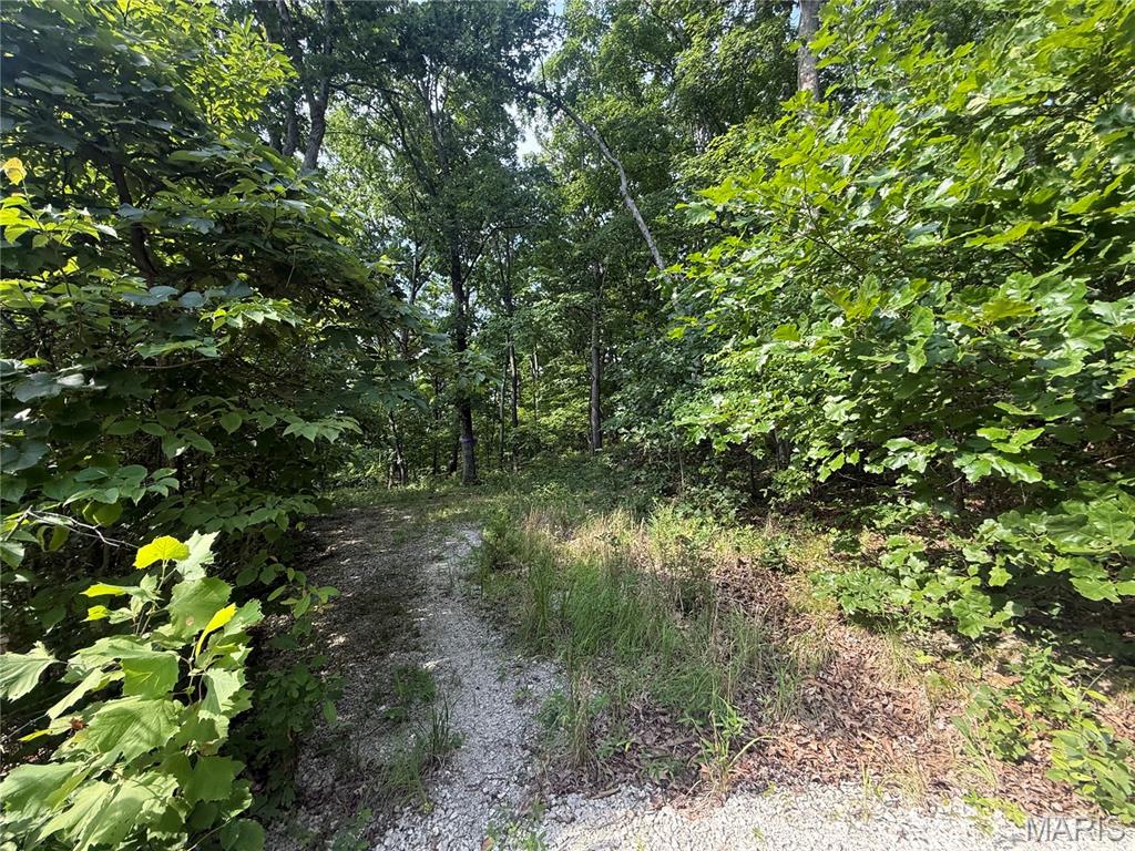 Build your private dream home on this beautiful wooded lot, offering the perfect blend of seclusion and convenience. Located in Imperial just off Old Highway 21, you'll be only minutes from parks, shopping, restaurants, medical offices, and all the amenities of everyday life, with easy access to Arnold, Mehlville, and Fenton.