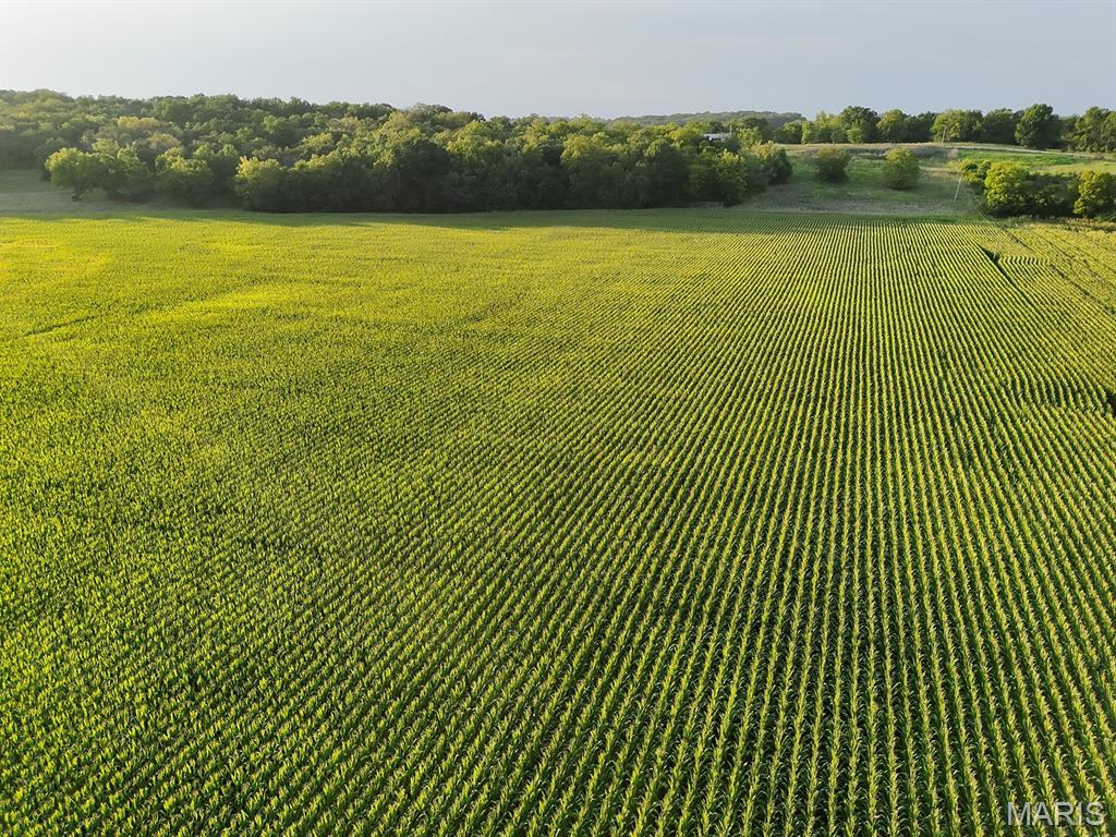 30.08-acre tract in Northern Lincoln County, a versatile property offering excellent agricultural productivity and recreational appeal. Featuring approximately 26 acres of FSA-indicated cropland with highly productive Haymond Silt Loam soil (0-2% slope), this land is currently planted in corn and serves as an ideal investment for farmers or land buyers alike.

The property is mostly tillable, with a scenic timber edge and the serene flow of Bryants Creek bordering the southern boundary. With established populations of deer and turkey, the land offers significant hunting potential alongside its agricultural utility.

Farming rights will convey upon the completion of the 2026 harvest, and there is strong potential for future cash rent—contact the agent for further details. Access is provided via a recorded farmroad easement off Tickridge Road, and electricity is available. Situated just 19 miles from Troy and 22 miles from Winfield, this property offers the perfect balance of rural privacy and convenient access to town.