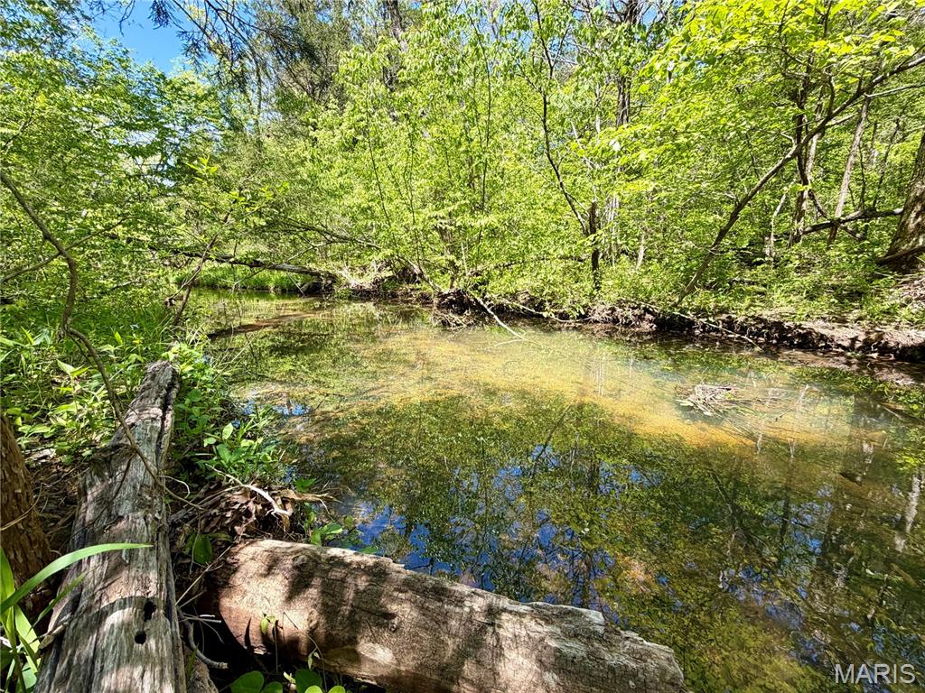 Rare 20+/- Unrestricted Acres with Flat Creek Frontage!
Discover the ultimate canvas for your outdoor dreams in beautiful Washington County. Perfectly situated between Potosi and historic Caledonia, this breathtaking 20+/- acre parcel offers the total freedom of no restrictions. This isn't just raw land; it’s a water-rich oasis featuring approximately 850’ of spring-fed Flat Creek. The creek is clear, gentle, and perfect for family recreation. The property comes ready for adventure or development with an established trail system winding through the acreage—ideal for UTVs or hiking. Adventure is at your doorstep with Elephant Rocks State Park, Johnson’s Shut-Ins, and the Mark Twain National Forest all just a short drive away. Whether you're looking for a premier hunting tract, a weekend getaway, or a permanent residence with live water, this property delivers. Looking for even more room? Additional acreage is available! Schedule your tour today and experience this Ozark gem in person.