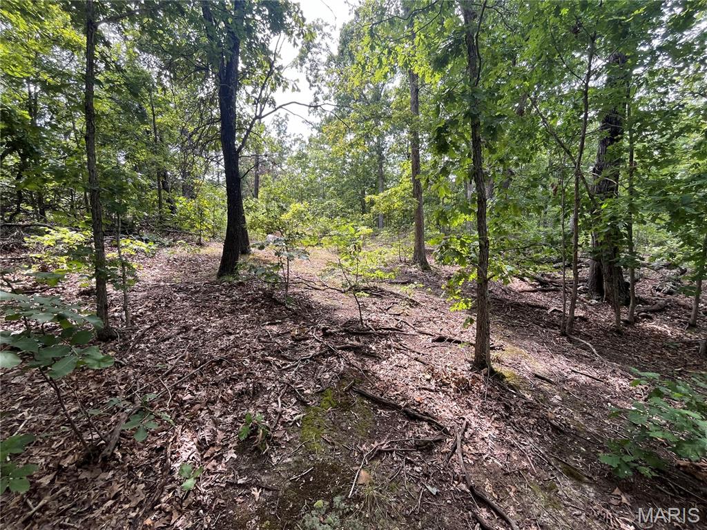 Whispering Oaks Subdivison - Land