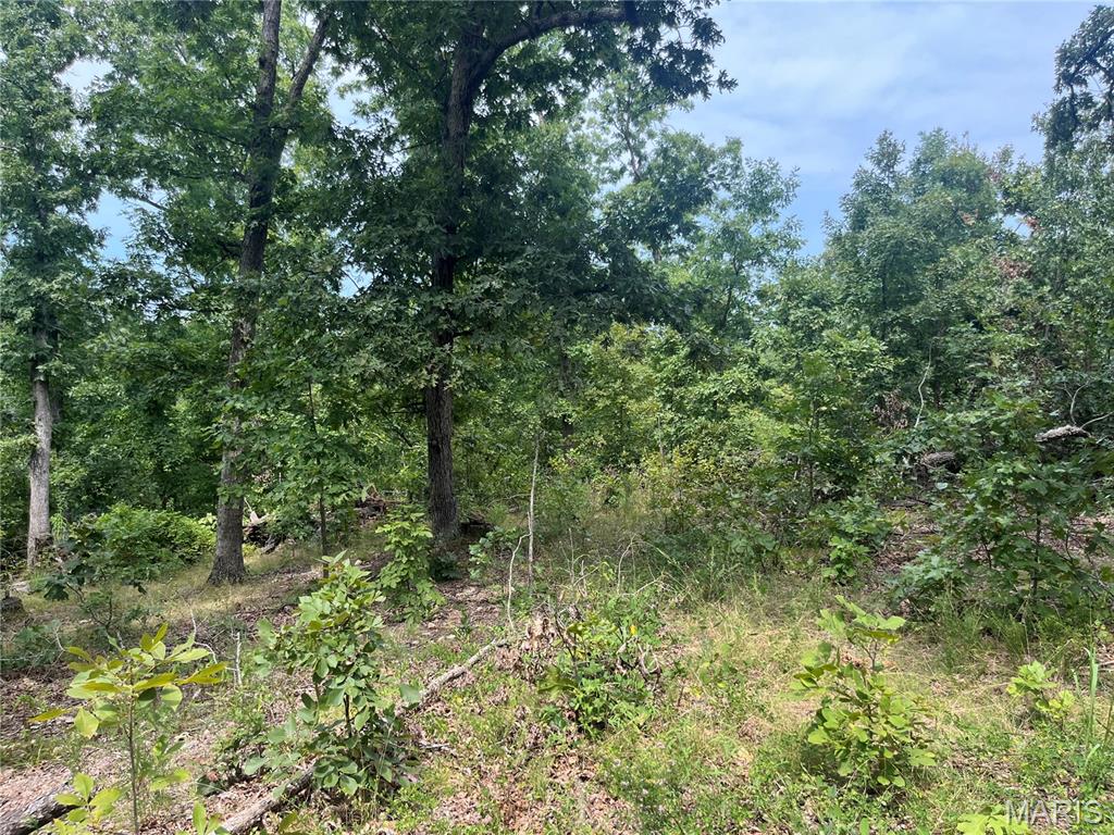 Whispering Oaks Subdivison - Land