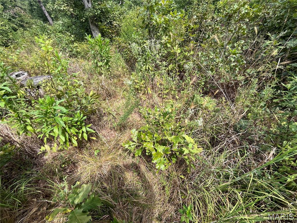 Whispering Oaks Subdivison - Land