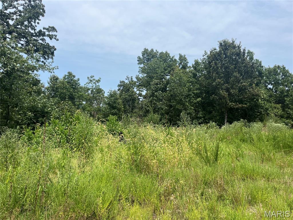 Whispering Oaks Subdivison - Land