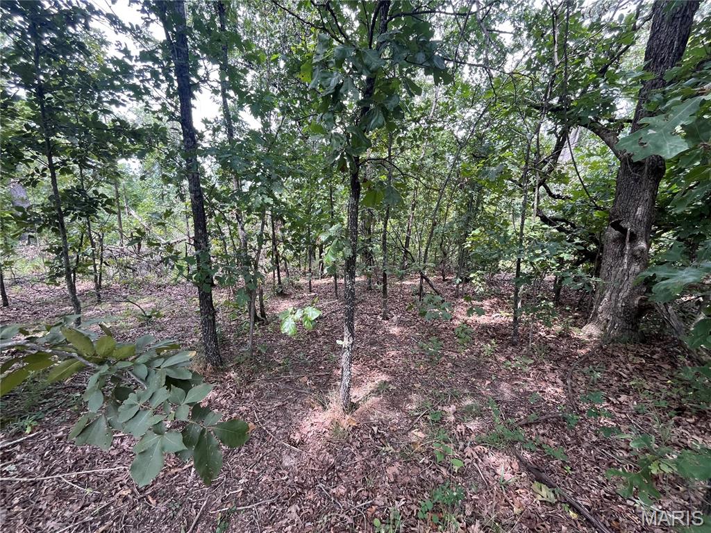 Whispering Oaks Subdivison - Land