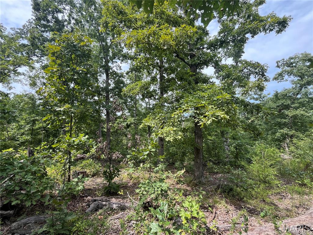 Whispering Oaks Subdivison - Land