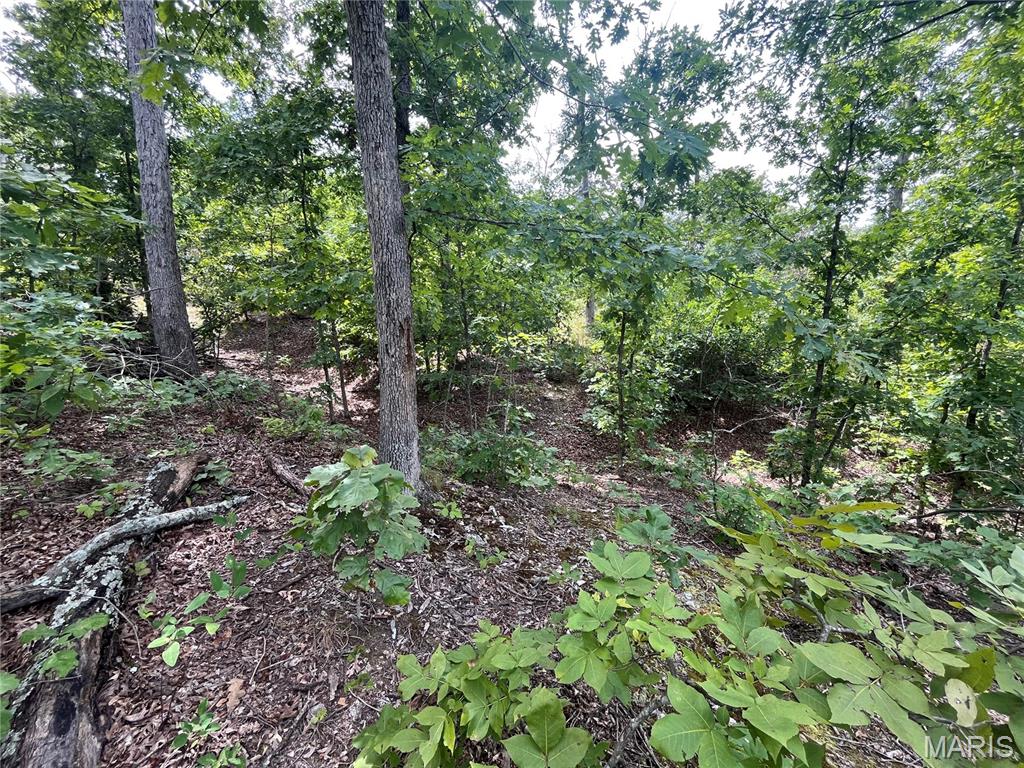 Whispering Oaks Subdivison - Land