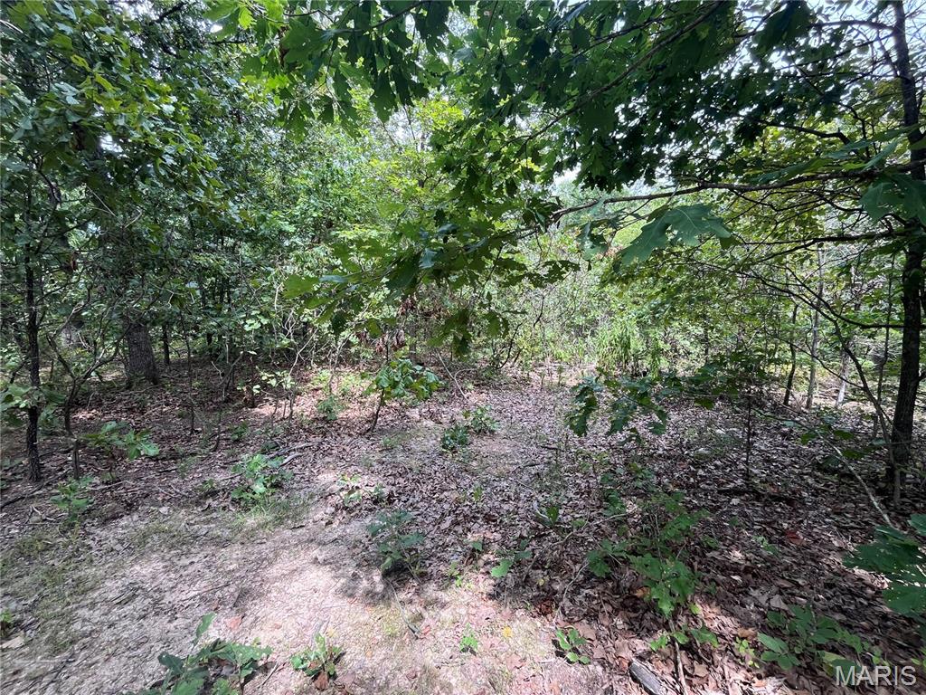 Whispering Oaks Subdivison - Land