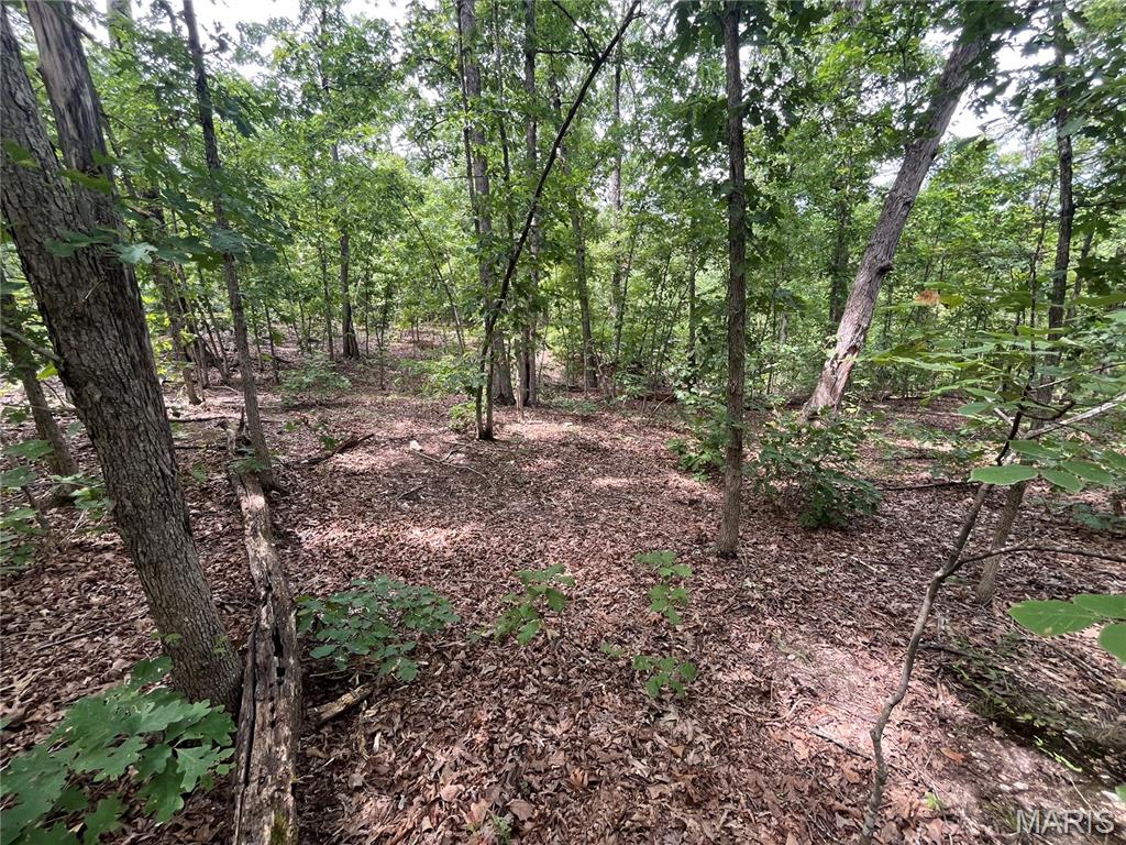Whispering Oaks Subdivison - Land