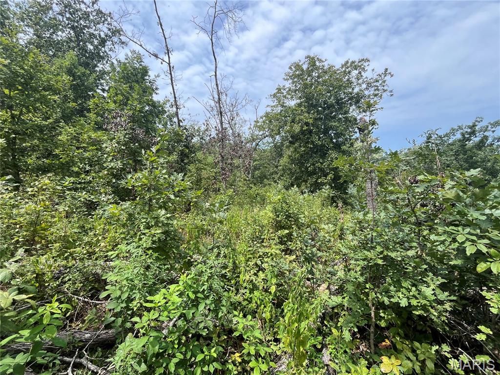 Whispering Oaks Subdivison - Land