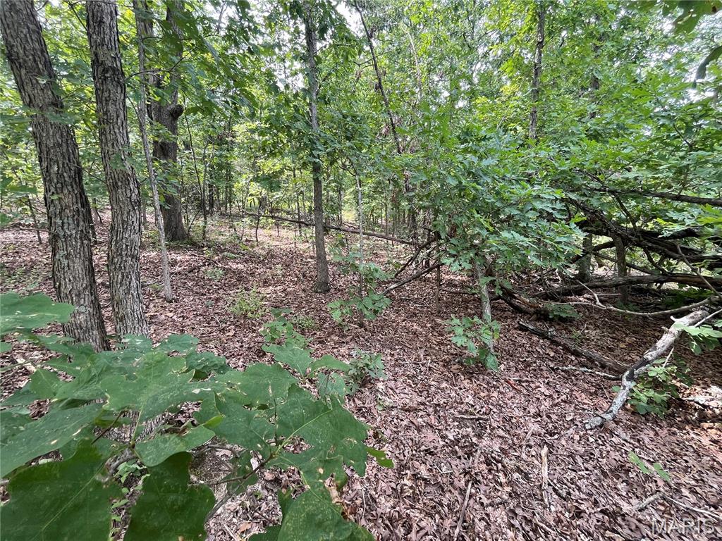 Whispering Oaks Subdivison - Land