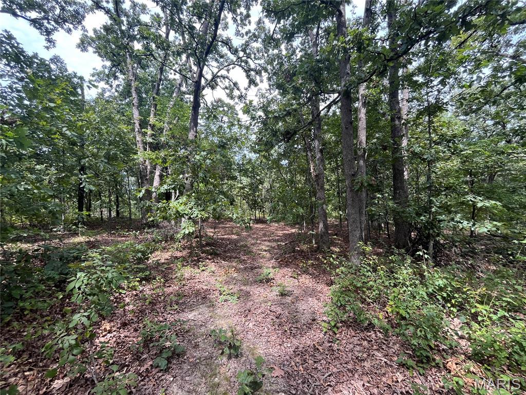 This mostly wooded property has no HOAs, covenants, or deed restrictions and is conveniently situated between Lake of the Ozarks and Truman Lake, with quick highway access. A nice cleared area with trenched in power hookup for RV and/or tent camping make it ideal for a peaceful weekend retreat, a place to hunt, a spring board to a day on the water, or as a serene location to build your future dream home. Sellers have already flattened out an area and put in a few walking paths.