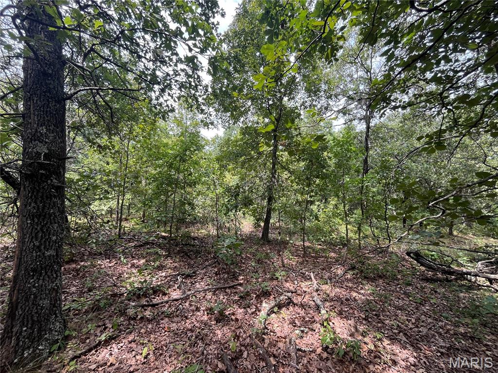 Whispering Oaks Subdivison - Land