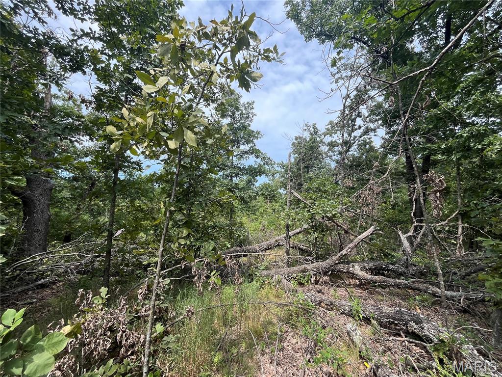 Whispering Oaks Subdivison - Land