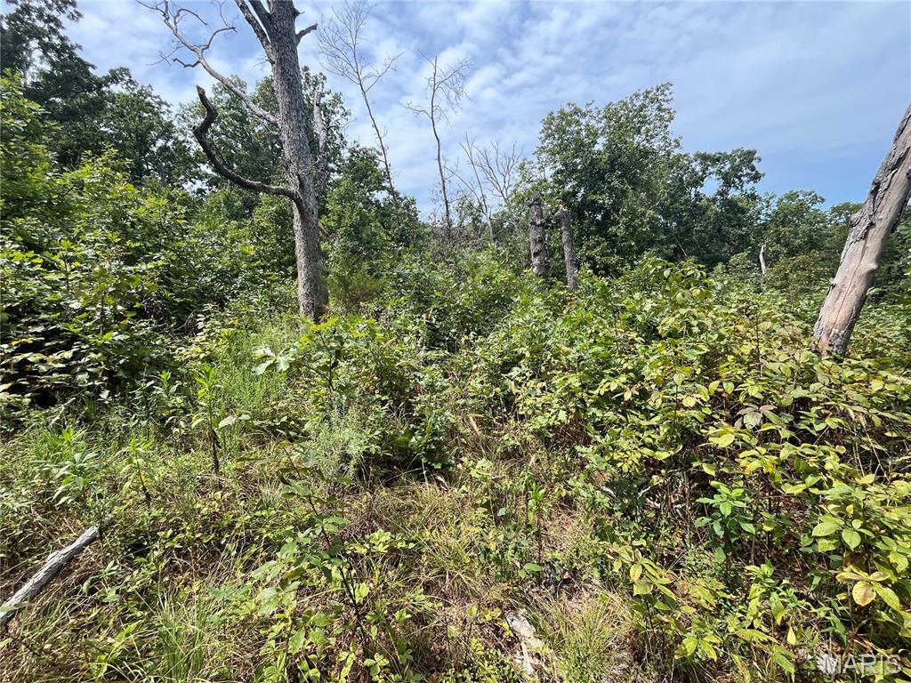 Whispering Oaks Subdivison - Land